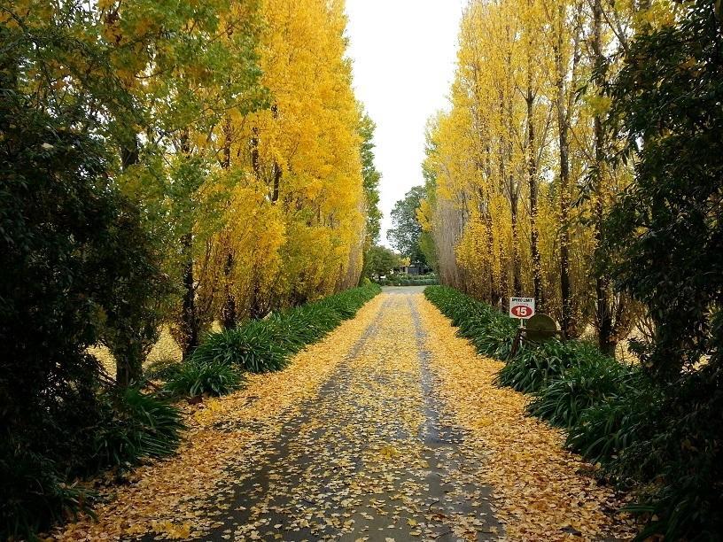 Melview Greens Ориндж Экстерьер фото